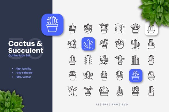 Cactus and Succulent Icons Graphics